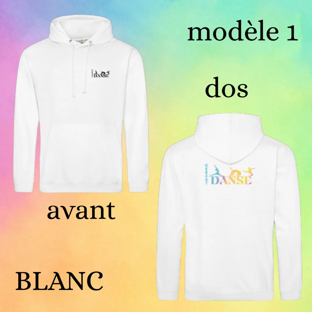 Sweat modèle 1