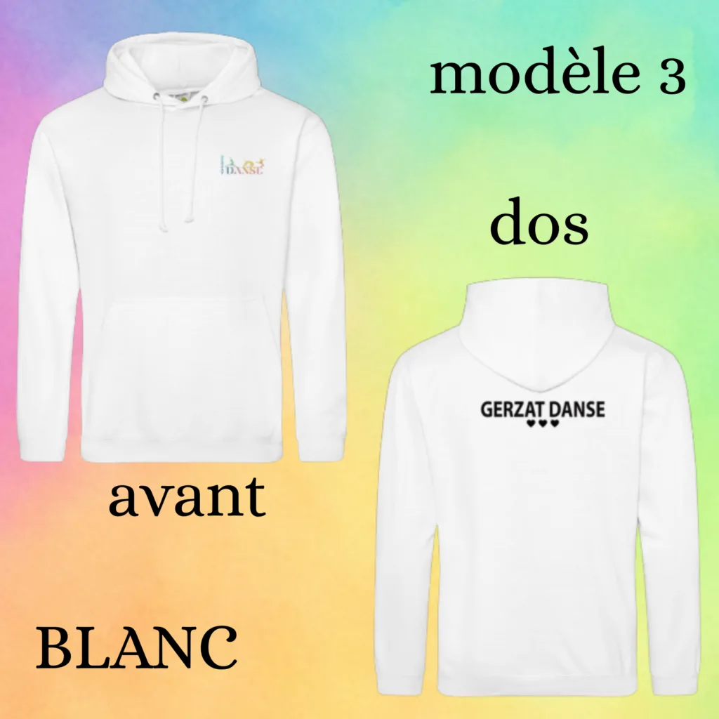 Sweat modèle 3